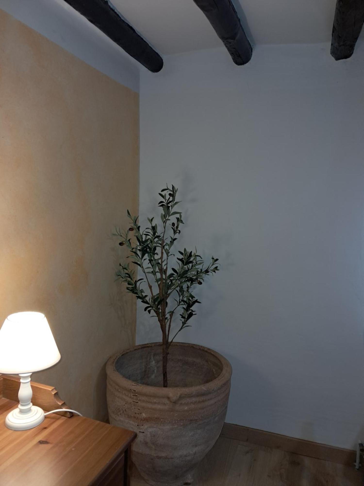 Casa Rural Ruta Del Agua 4 Hab Al Lado Monasterio De Piedra Munébrega 外观 照片